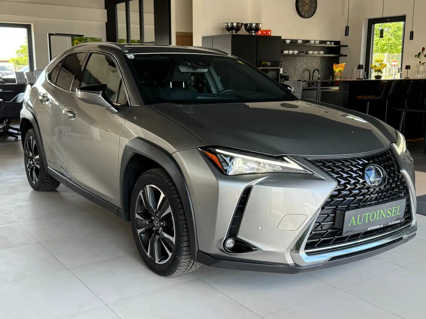 Lexus UX 250h Alcantara, Kamera, Leasingfähig Grau - 2