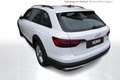 Audi A4 allroad A4 allroad quattro 40 TDI 150(204) kW(PS) S tron Weiß - thumbnail 3