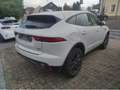 Jaguar E-Pace S AWD /NAVI/LEDER/SHZ/EHK/LED Gris - thumbnail 5