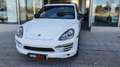 Porsche Cayenne Diesel 245 Aut. Білий - thumbnail 1