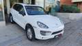 Porsche Cayenne Diesel 245 Aut. White - thumbnail 3