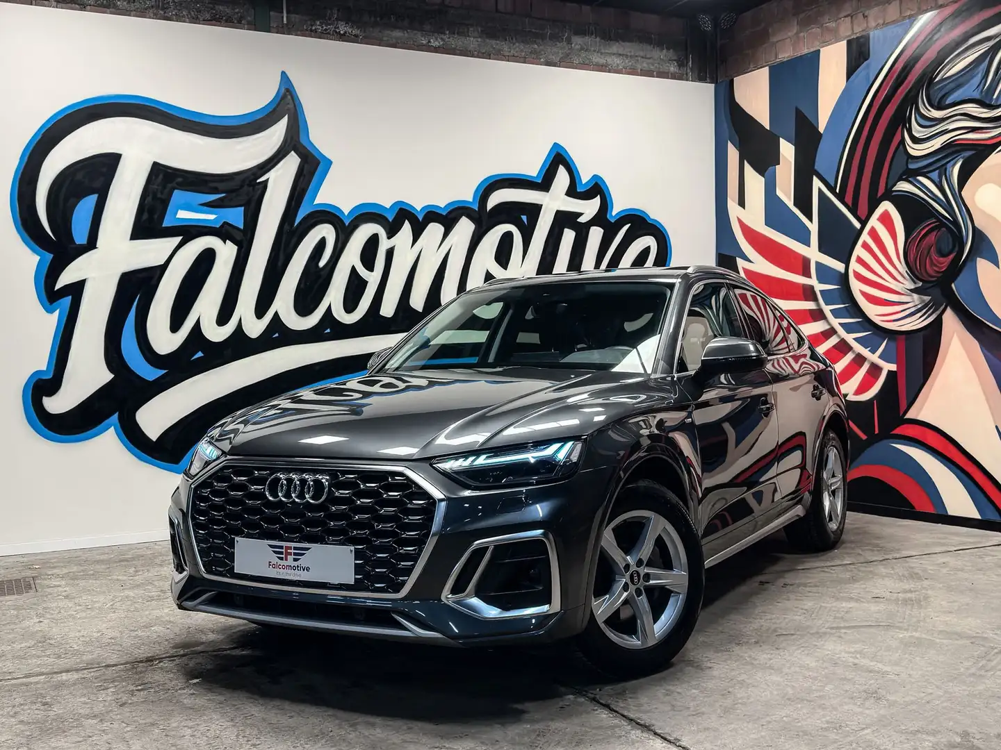 Audi Q5 2.0 TDi*S-TRONIC*S-LINE*MATRIX-LED*PANO* Grigio - 1