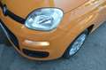 Fiat Panda 1.2 Easy s Oranje - thumbnail 22