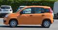Fiat Panda 1.2 Easy s Oranje - thumbnail 16