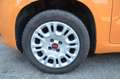 Fiat Panda 1.2 Easy s Oranje - thumbnail 6