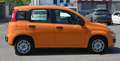 Fiat Panda 1.2 Easy s Oranje - thumbnail 18