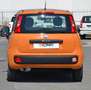 Fiat Panda 1.2 Easy s Oranje - thumbnail 17