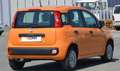 Fiat Panda 1.2 Easy s Oranje - thumbnail 3