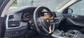 BMW X5 xDrive25d WERKELIJK IN NIEUWSTAAT/++LICHTE VRACHT Gris - thumbnail 9