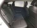 Hyundai TUCSON III 1.6 crdi 48V Exellence Lounge Pack 2wd dct Weiß - thumbnail 8