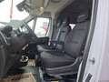 Fiat Ducato Maxi FLEX FLOOR 9-Sitzer L2H2 3500 140 MT White - thumbnail 10