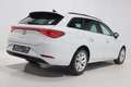 SEAT Leon SW 1.0 eTSI 110 DSG STYLE TOIT PANO LED ACC JA16 Blanc - thumbnail 3