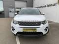 Land Rover Discovery Sport 2,0 TD4 180 4WD SE Automatik // monatlich ab € ... Weiß - thumbnail 2