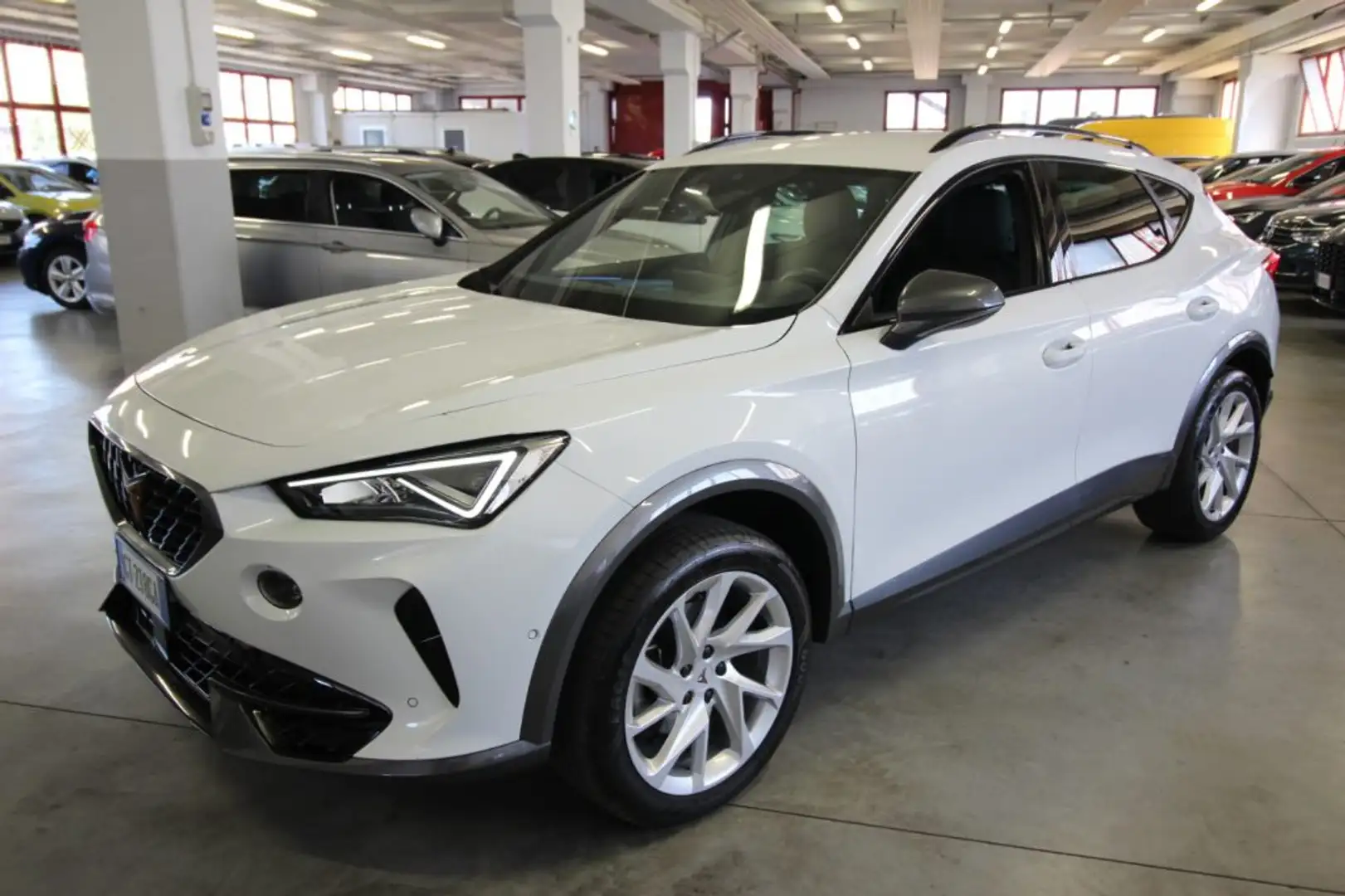 CUPRA Formentor 1.5 TSI 150CV DSG Bianco - 2