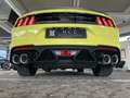 Ford Mustang Mach1 6gang | 7J/100 Tkm Ford Garantie Amarillo - thumbnail 4