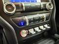 Ford Mustang Mach1 6gang | 7J/100 Tkm Ford Garantie Gelb - thumbnail 30