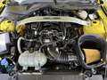 Ford Mustang Mach1 6gang | 7J/100 Tkm Ford Garantie Gelb - thumbnail 39