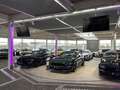 Ford Mustang Mach1 6gang | 7J/100 Tkm Ford Garantie Gelb - thumbnail 47