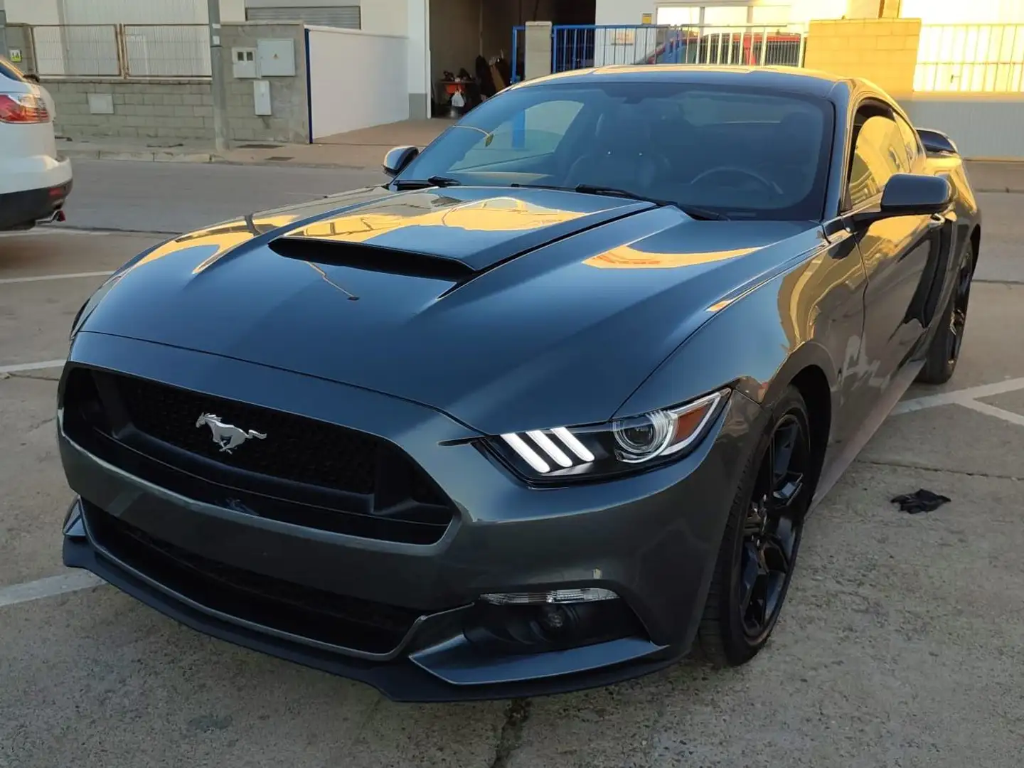 Ford Mustang Mustang Convertible 2.3 EcoBoost Aut. Zöld - 2