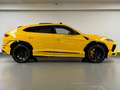 Lamborghini Urus S 4.0 BI-TURBO V8 S 666CV FULL OPTIONS TVAC Geel - thumbnail 5