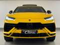 Lamborghini Urus S 4.0 BI-TURBO V8 S 666CV FULL OPTIONS TVAC Geel - thumbnail 3