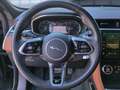 Jaguar F-Pace R-Dynamic D300 SE AWD Standh./ACC/22" Navi Bleu - thumbnail 8
