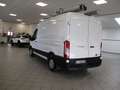 Ford Transit FWD 310 2.0 TDCI(105CV)L2-H2 TREND-UNIPROPRIETARIO Bianco - thumbnail 7