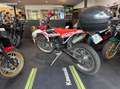 Beta RR Enduro Standard Weiß - thumbnail 5