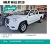 Great Wall Steed 6 2.4 Ecodual 4WD Work Passo Lungo Blanc - thumbnail 1