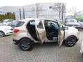 Ford EcoSport Trend, Automatik, Klima, Alu Bej - thumbnail 5