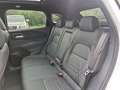 Nissan Qashqai 1,5 VC-T e-Power N-Design+ *ab € 34.990,-* Weiß - thumbnail 13