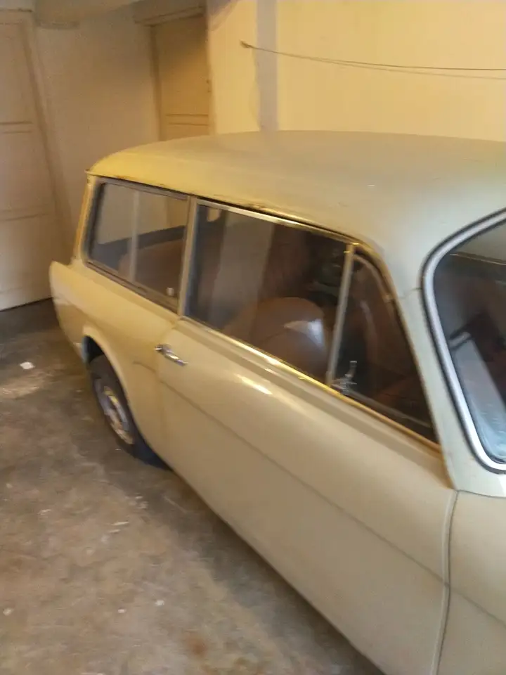 Autobianchi Bianchina panoramica, foto 6