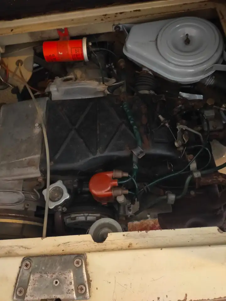 Autobianchi Bianchina panoramica, foto 4