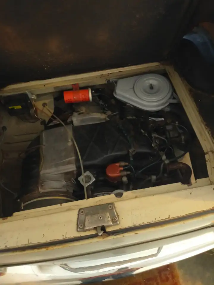 Autobianchi Bianchina panoramica, foto 5