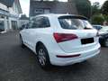 Audi Q5 2.0 TDI  quattro Weiß - thumbnail 10