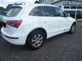 Audi Q5 2.0 TDI  quattro Weiß - thumbnail 7