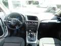 Audi Q5 2.0 TDI  quattro Weiß - thumbnail 16
