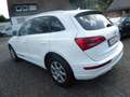 Audi Q5 2.0 TDI  quattro Weiß - thumbnail 11
