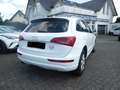 Audi Q5 2.0 TDI  quattro Weiß - thumbnail 8