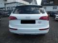 Audi Q5 2.0 TDI  quattro Weiß - thumbnail 9