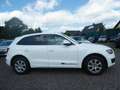Audi Q5 2.0 TDI  quattro Weiß - thumbnail 6