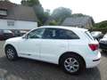 Audi Q5 2.0 TDI  quattro Weiß - thumbnail 12