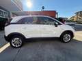 Opel Crossland Crossland X 1.5 ECOTEC D 102 CV Start&Stop Ultimat Weiß - thumbnail 4
