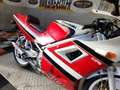 Kawasaki KR-1 Rojo - thumbnail 7