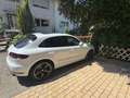 Porsche Macan Macan GTS PDK Weiß - thumbnail 6