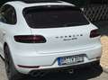 Porsche Macan Macan GTS PDK Weiß - thumbnail 1