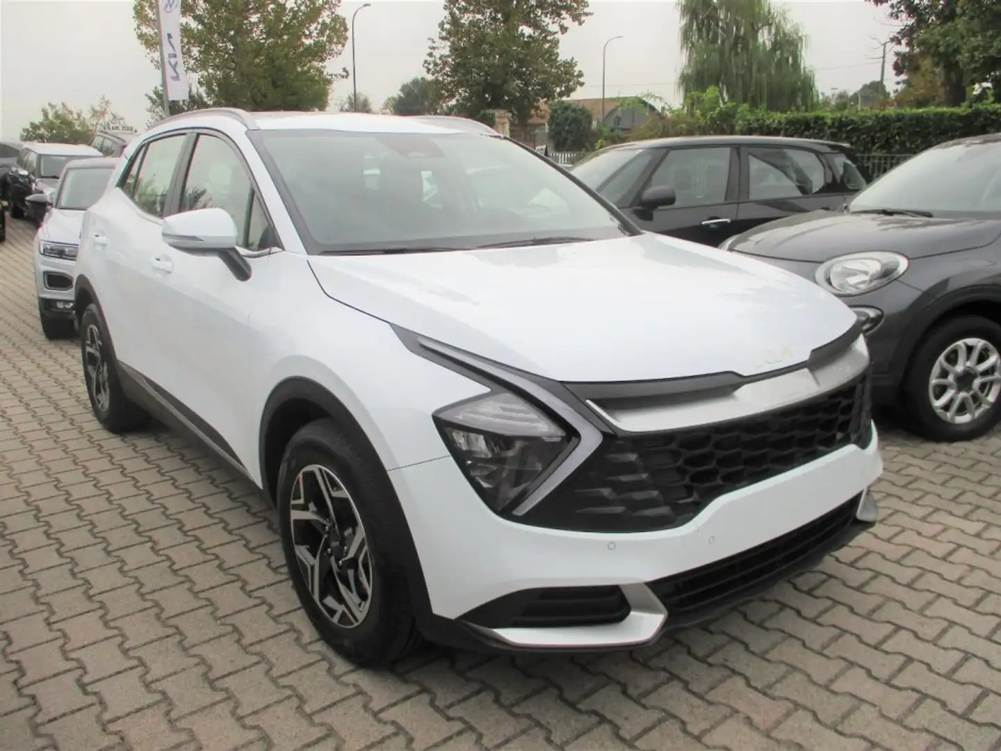 Kia Sportage 1.6 CRDI 136Cv MH Business Bianco - 2