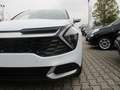 Kia Sportage 1.6 CRDI 136Cv MH Business Bianco - thumbnail 10