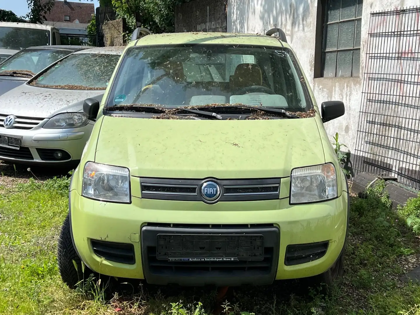 Fiat Panda 1.2 8V Climbing 4X4 Vert - 1