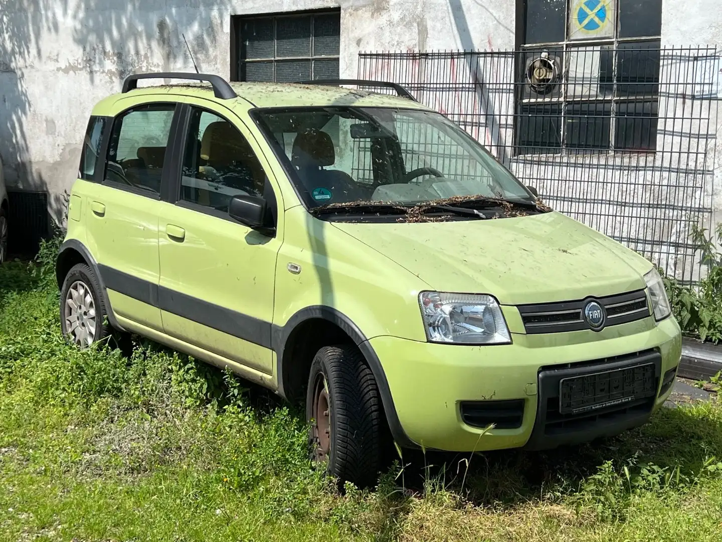 Fiat Panda 1.2 8V Climbing 4X4 Vert - 2